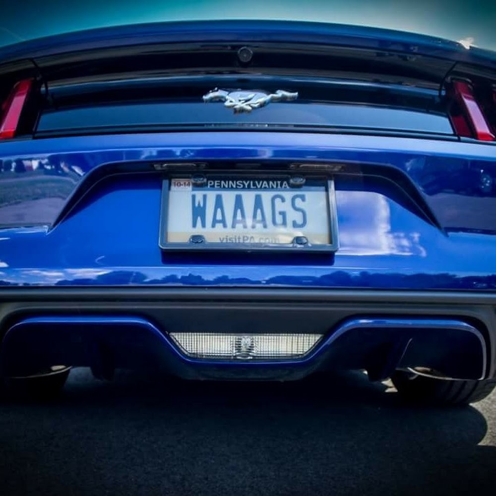 Meet your Posher, Scotty